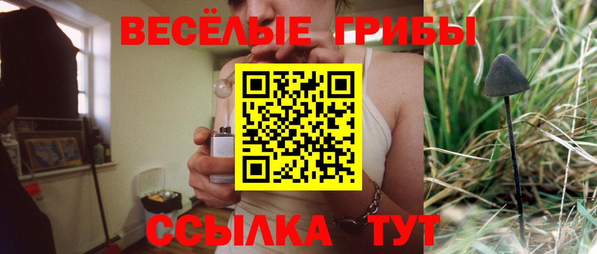 Псилоцибиновые грибы мицелий  Псилоцибиновые грибы Cubensis  Вход с VPN  закладка  Клинцы 