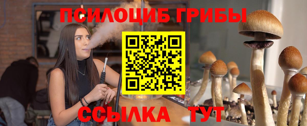 Галлюциногенные грибы MAGIC MUSHROOMS Клинцы